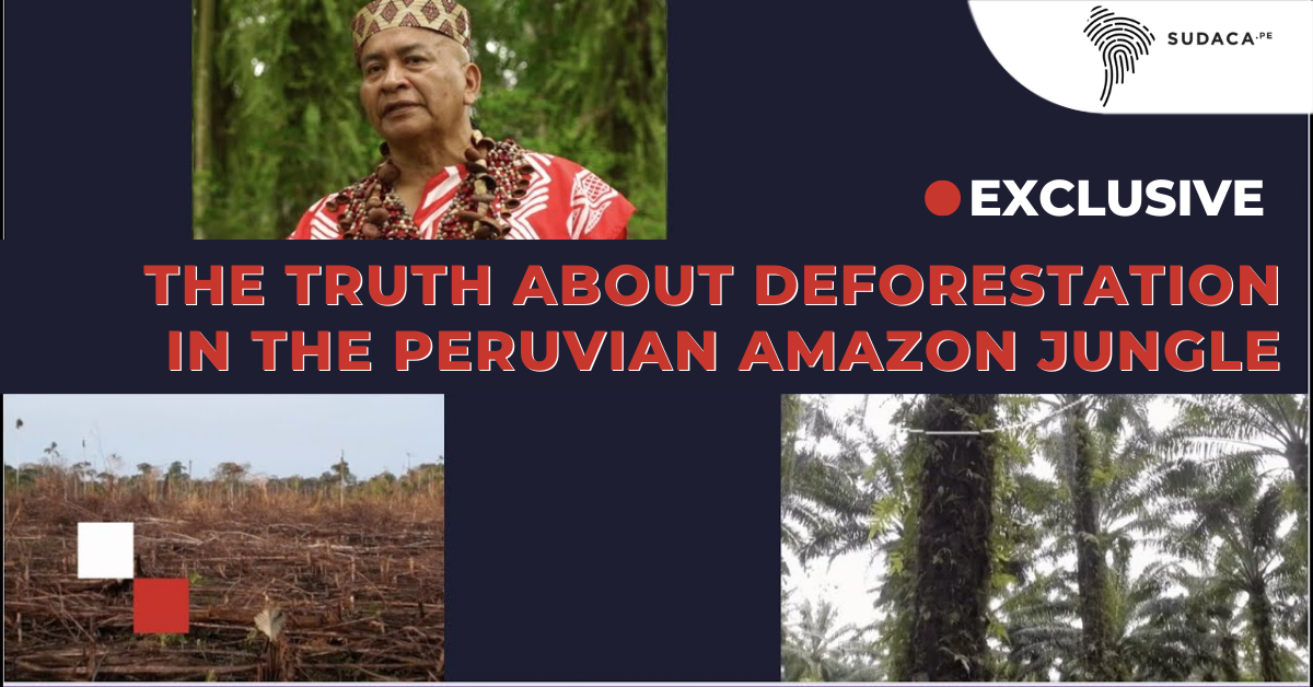 The Truth About Deforestation In The Peruvian Amazon Jungle