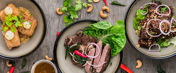 Meal Kit Delivery Services Market - 2019-2025