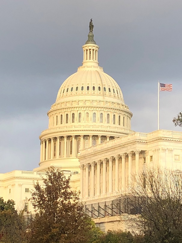 U.S. Capitol