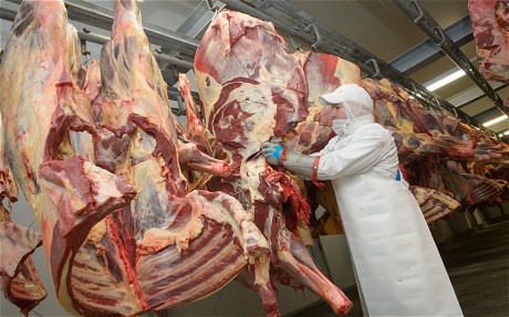Butchering of Horse Meat