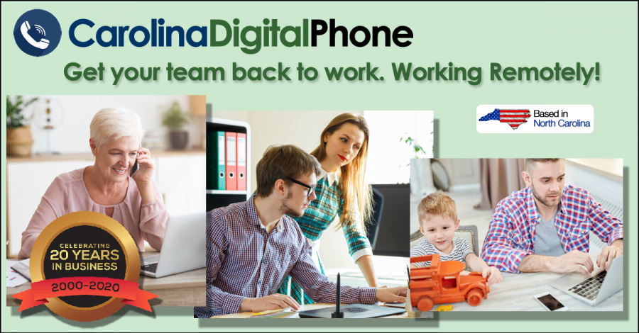 Get Your Team back to Work. Working Remotely!