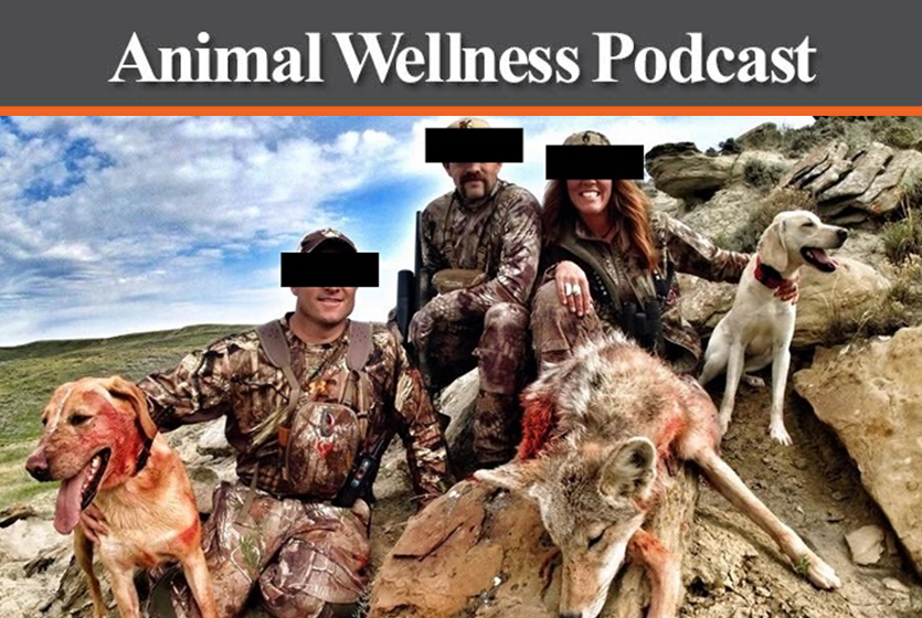 The Animal Wellness Podcast Episode 16