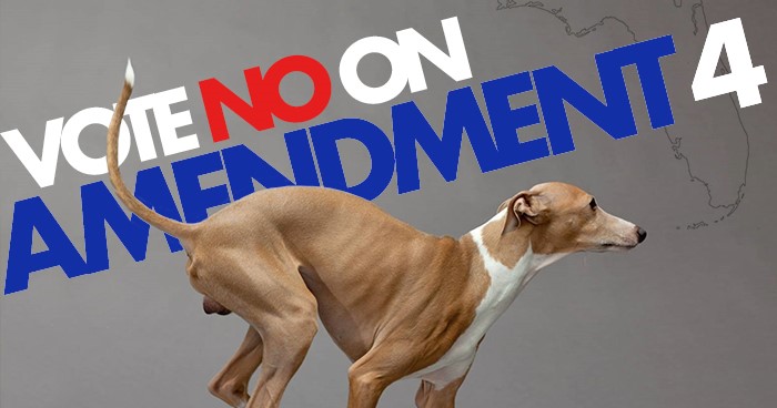 (Walton County, Fla.) – Leading animal welfare groups urged a “No” vote on Amendment 4 on this year’s ballot, charging that the measure would make it all but impossible to pass statewide ballot measures by amending the state constitution to require two votes in two separate elections that each require supermajority thresholds of 60 percent