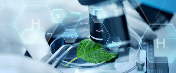 Hair Growth Supplements Market 2020