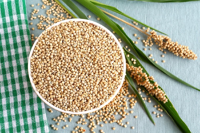 Sorghum is used as human feed and livestock feed and the rest is turned into ethanol