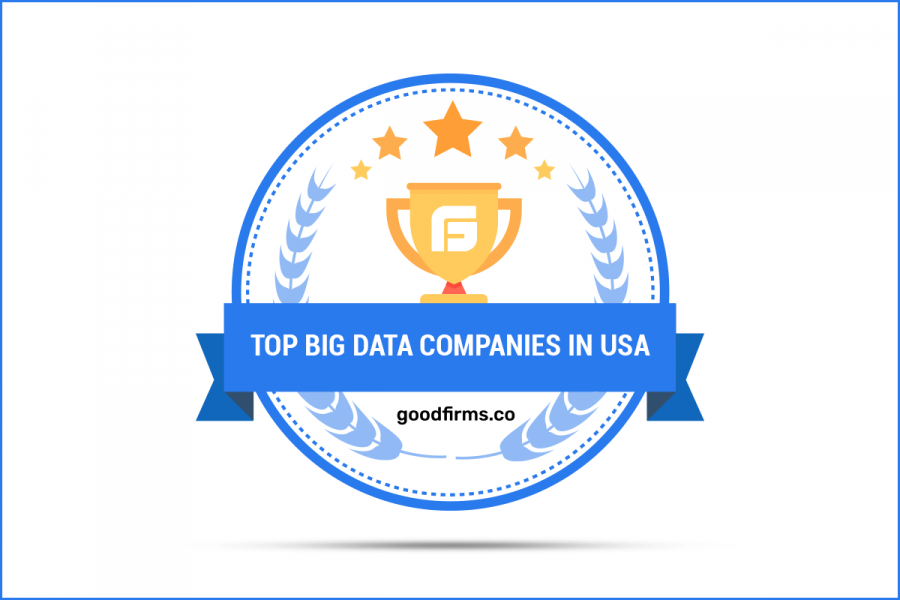 Top Big Data Companies in USA