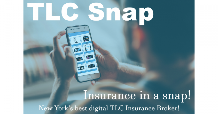, SEO, Wordpress Support & Insurance, Mortgage, Loans, Legal, Etc Blogs