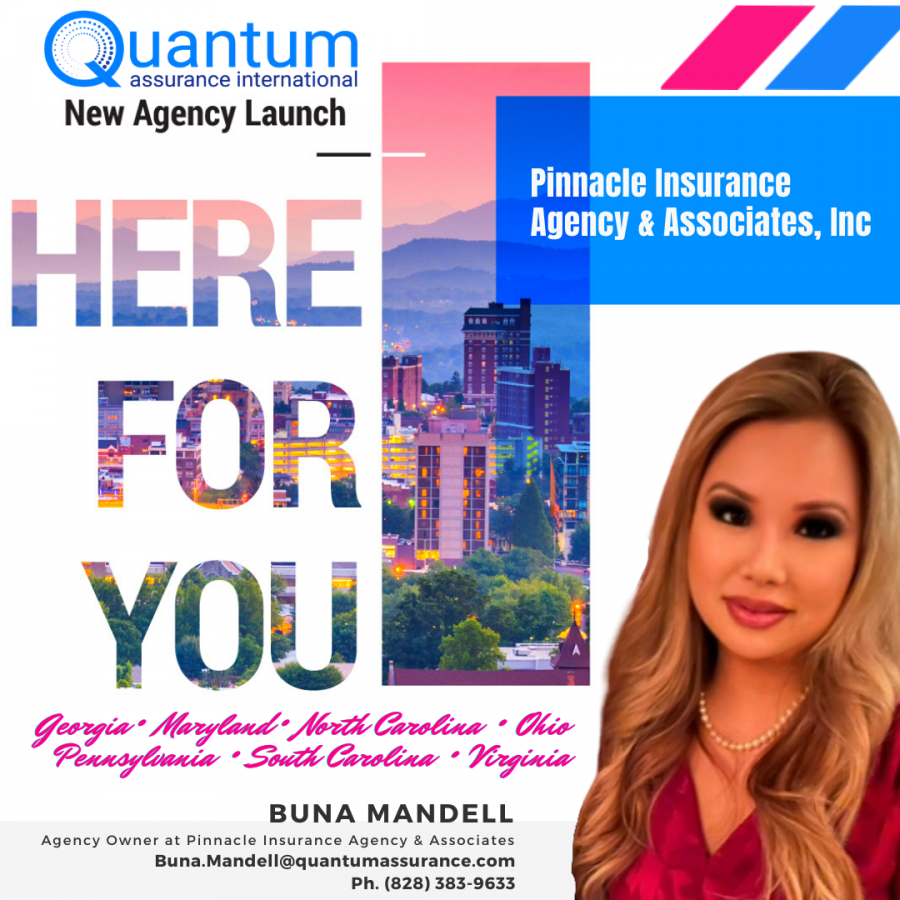 , SEO, Wordpress Support & Insurance, Mortgage, Loans, Legal, Etc Blogs