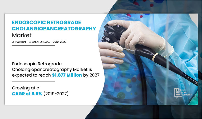 Endoscopic Retrograde Cholangiopancreatography (ERCP) Market
