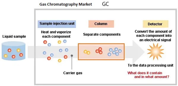 Gas Chromatography Market Overview: Gas Chromatography Market