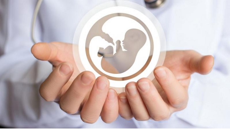UPDATE AVAILABLE ON-DEMAND (IVF Services Market to Set New Growth Cycle)