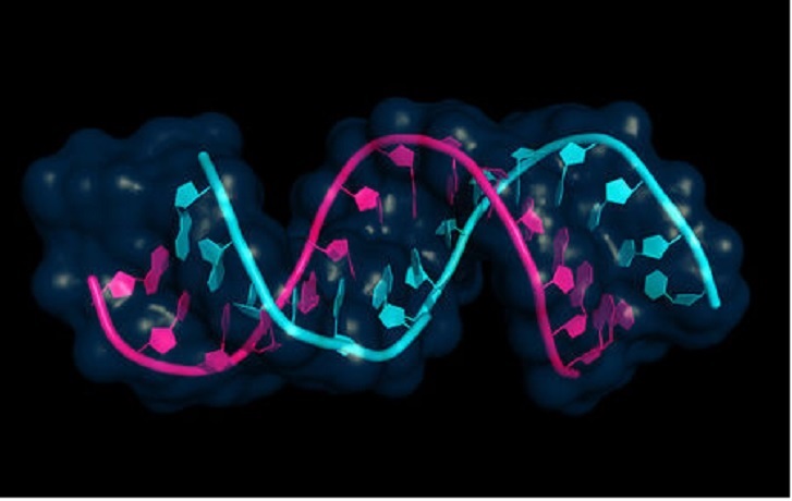 UPDATE AVAILABLE ON-DEMAND (Transcriptomics Market to Set New Growth Cycle)