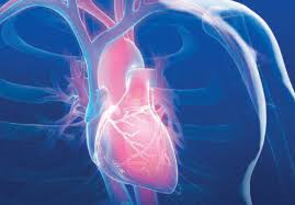 The implantable loop recorder (ILR) is a small cardiac monitoring device capable of storing ECG data automatically in case of bradyarrhythmia or tachyarrhythmia Implantable Loop Recorder Market