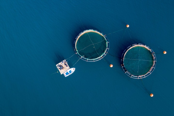 Aquaculture Market by Environment, and Fish Type: Opportunity Analysis and Industry Forecast, 2021–2027,” The global aquaculture market size was valued at $285,359