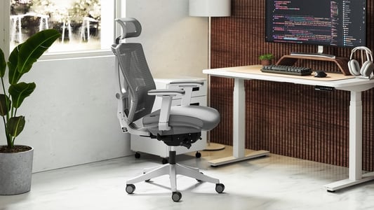 Ergonomic Office Chair Market Image, Size and Share