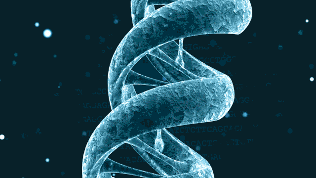 According to the report published by Allied Market Research, โthe global bioinformatics market garnered $8 Bioinformatics Market