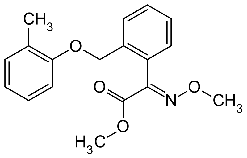 According to the Kresoxim Methyl Market report published by the Allied Market Research, the study presents impending revenue forecast of the industry for the next few years coupled with imminent market trends and opportunities Kresoxim Methyl