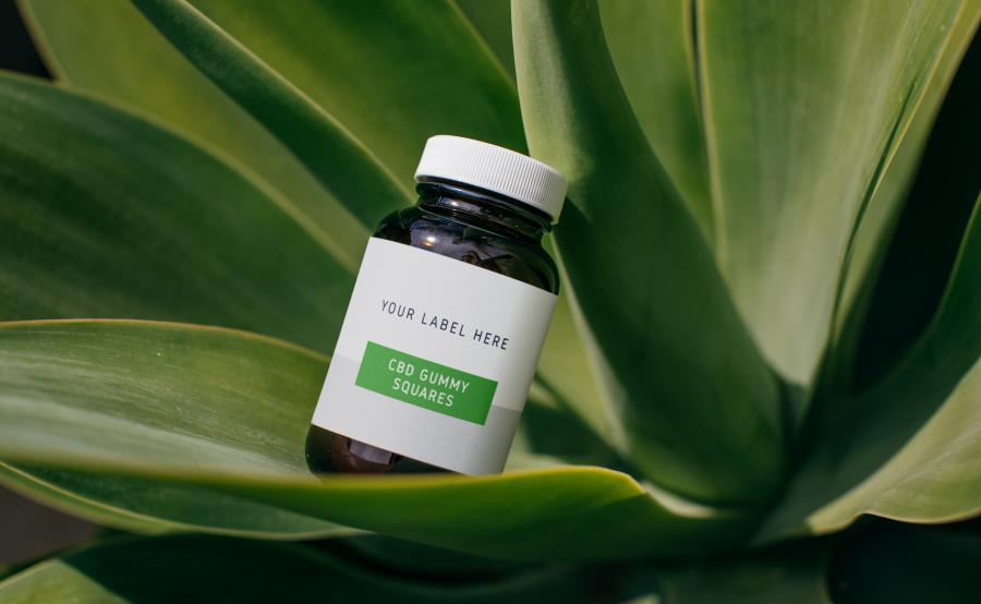 Private Label Guidance To Easily Begin A CBD Business