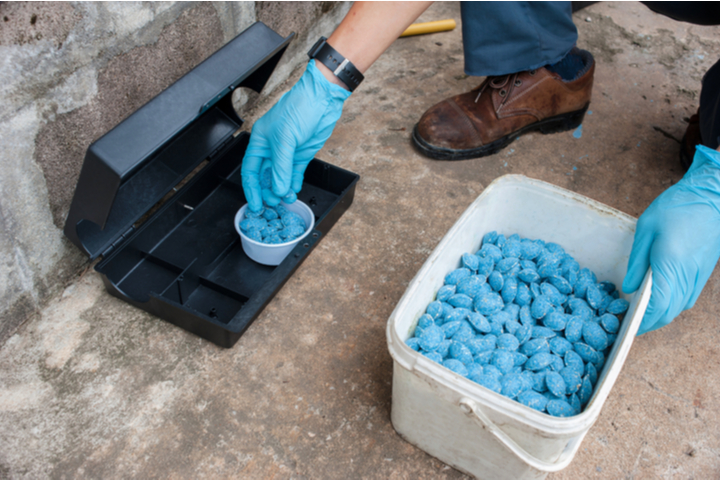 Rise in urbanization along with exponential growth of population, variations in climatic conditions, and ease in availability of products propel the growth of the global rodent control market Rodent Control Market Share