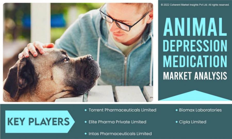 Animal Depression Medication Market Future Business Opportunities 2022-2028 | Torrent Pharmaceuticals Limited.