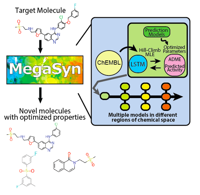 An overview of the MegaSyn approach to generative design of molecules