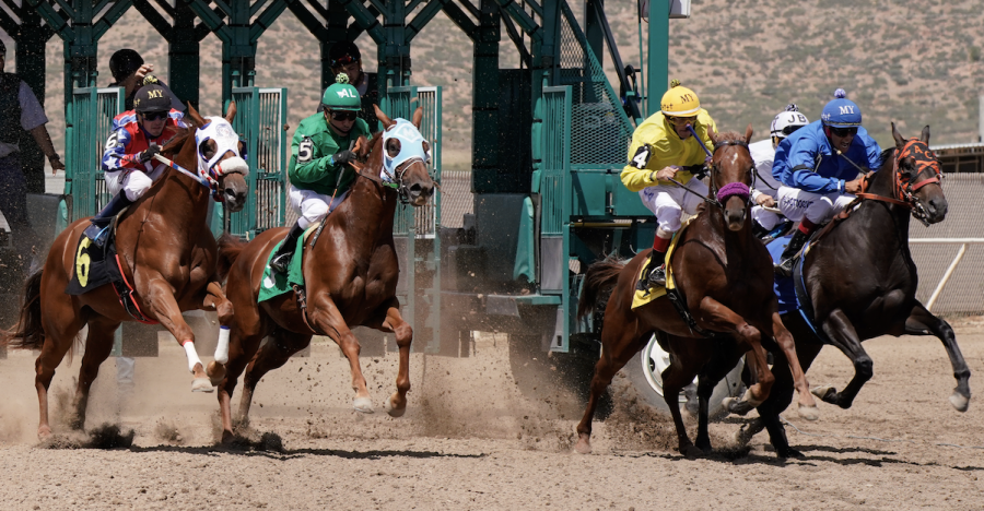 Horse Racing | Quarter Horse | Animals | Horses | New Mexico