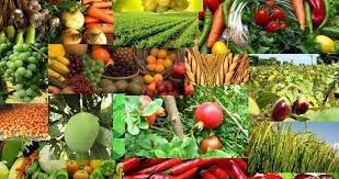 Agricultural Products E-Commerce Market [+Research Methodology] |  SWOT analysis by 2031