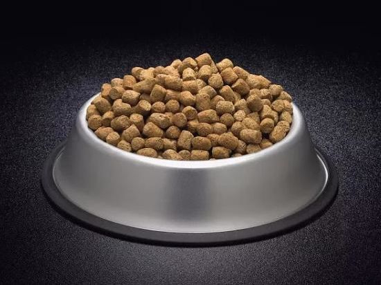 Flavor for the pet food market [+Opportunity Orbits] |  Segmentation and Competition Analysis 2031