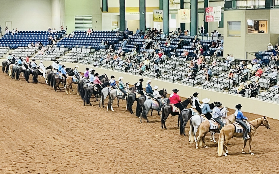 Horses | Tennessee | Marty Irby | Animal Wellness Action | Monty Roberts | Queen Elizabeth