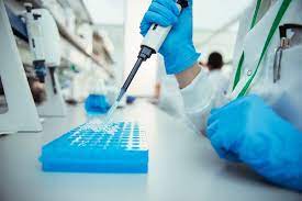In Vitro Toxicology Testing Market Trend | Demand and Import/Export Details up to 2031