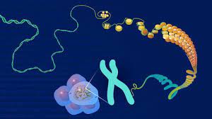 Genomics Market Trend | Leading Players and Future Prospect till 2031