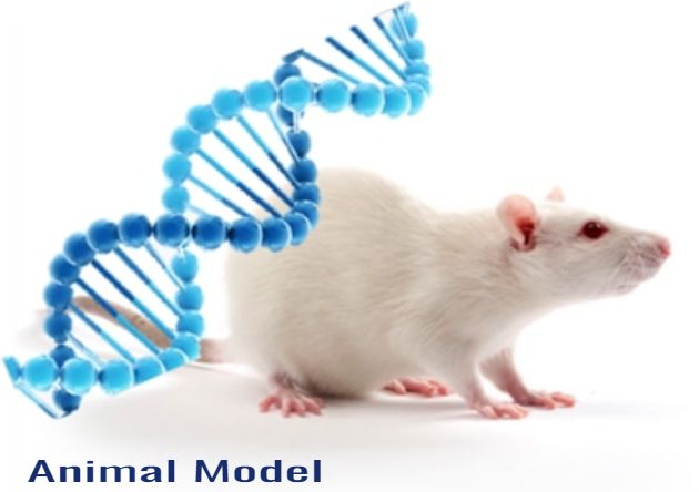 Animal Model Market is Size to reach $ 2,394.30 Mn, Growing at 6.0% CAGR between 2022 and 2028 | Charles