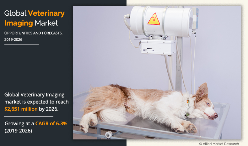 Veterinary Imaging Market 2026