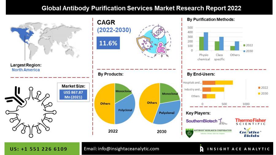 Global Antibody Purification Services Market worth $ 2310.76 Million by 2030