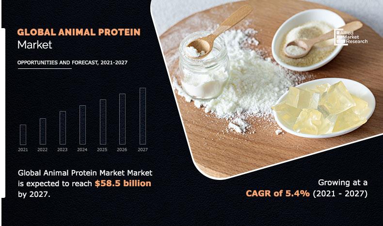 Animal-Protein Market