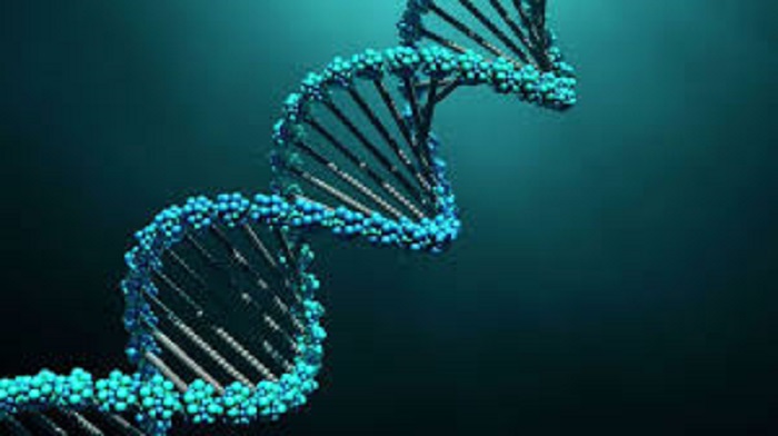 Global Genomics Market is expected to Grow Rapidly at a CAGR of 14.2% During Forecast of 2022 to 2028