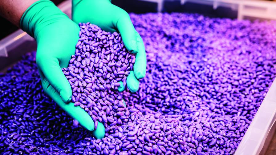Seed Treatment Market CAGR of 9.2% Forecast, Trends, and Growth 2022 – 2028 | Syngenta, Bayer CropScience AG,