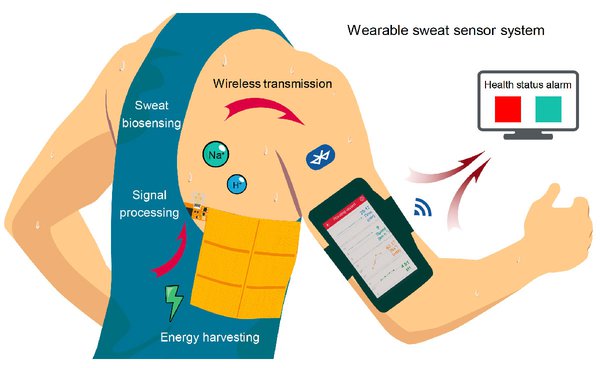 Wearable Sensor Market Future of the Market Adds New Dimension to Innovations till 2028 | Google, Panasonic,