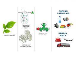 Bio Based Paraxylene Market | Packaging to be Largest Revenue-Generating Application Segment