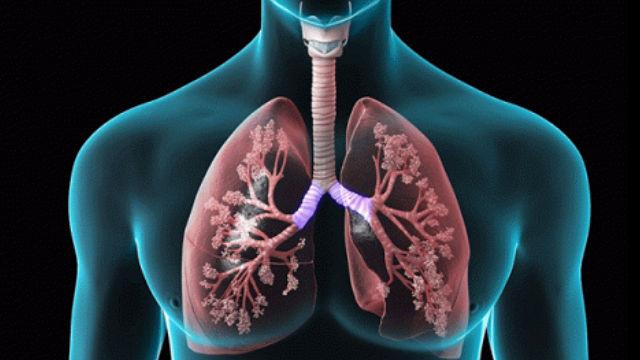 Respiratory Drug Delivery Formulation Market Huge Growth in Future Scope 2022-2028 | Teva Pharmaceutical