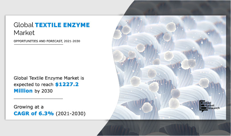 Textile Enzyme Market Company Profile, Global Expansion Strategies by Top Key Vendors till 2030