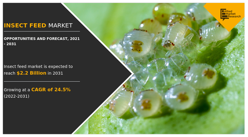 Insect Feed Market Report