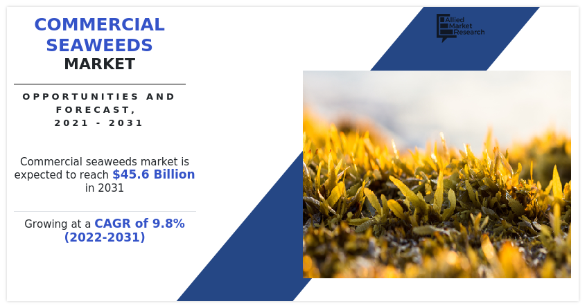 Commercial Seaweeds Market 2031