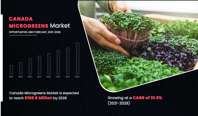 Canada Microgreens Market will grow at CAGR of 10.9% to hit $168.6 million by 2028 - EIN Presswire