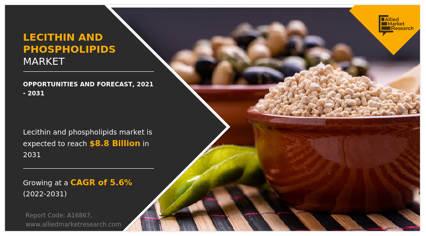 Lecithin and Phospholipids Market like to cross $8.8 Billion by 2031, Registering with a CAGR of 5.6% 