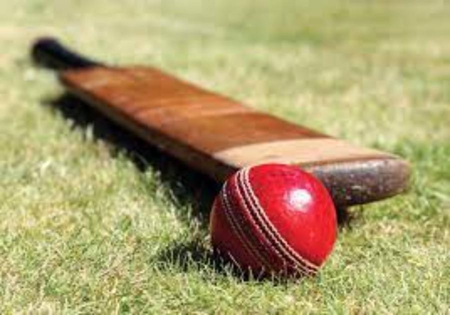 advancement-in-technology-of-cricket-market-drives-commercial-consumer