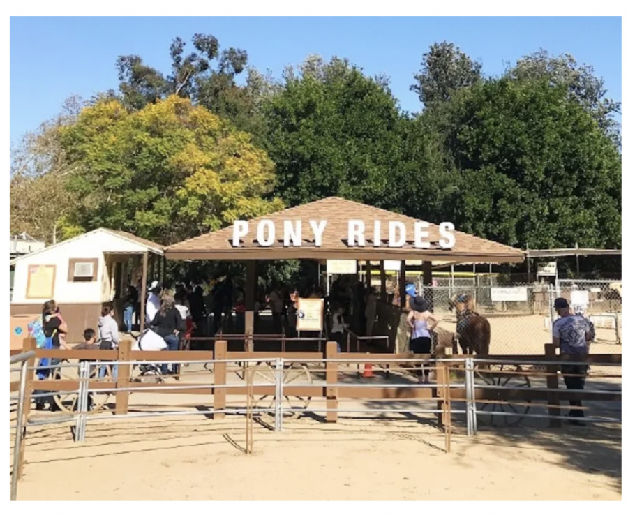 Griffith Park Pony Rides