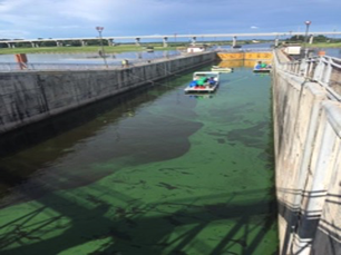 NBOT Labs Partners with Green Water Solutions to Provide Algae Remediation Services - EIN News