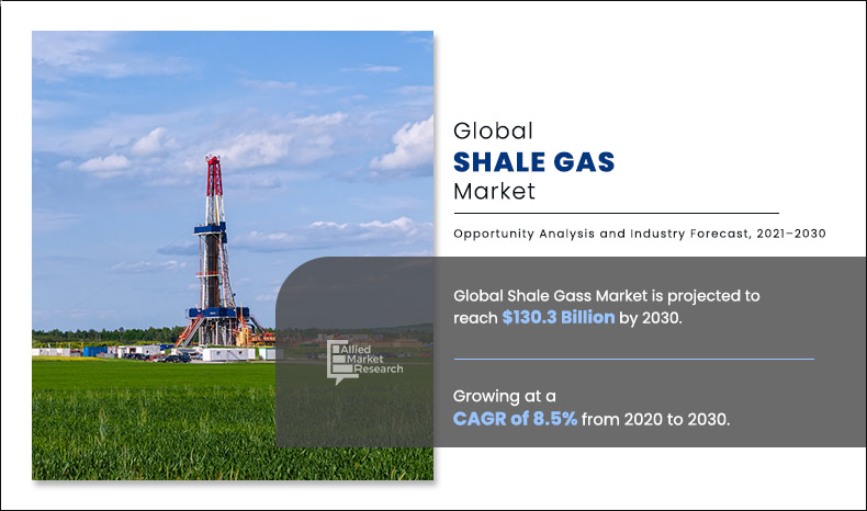 Shale Gas Market Size