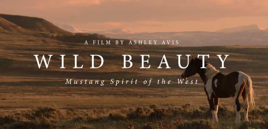Movie poster with beautiful wild horse against a Western sunset.